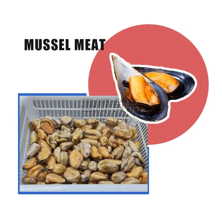 Frozen Mussel Meat