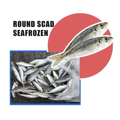 WR Round Scad